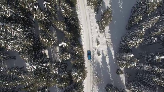 在冬季森林中，汽车行驶在高山小屋之间的犁过的道路上视频素材