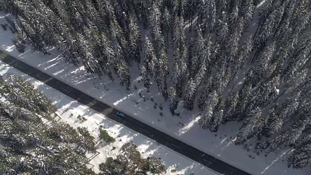 摄影:驾车穿过美丽的冰雪云杉森林视频素材