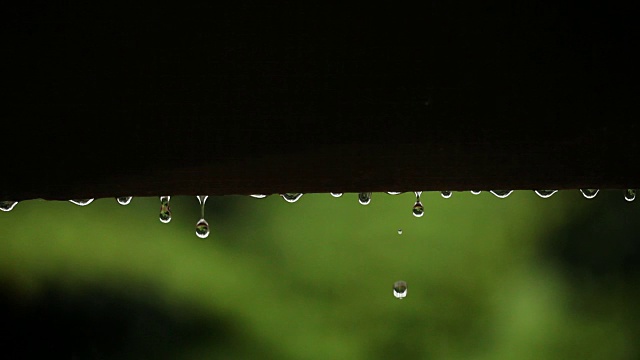 近距离的雨滴视频素材