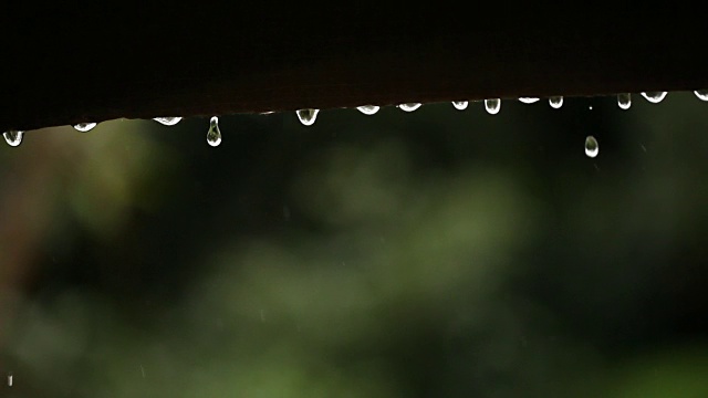 近距离的雨滴视频素材