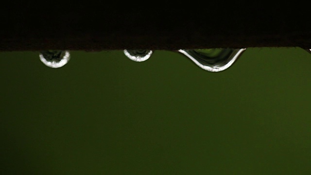 近距离的雨滴视频素材