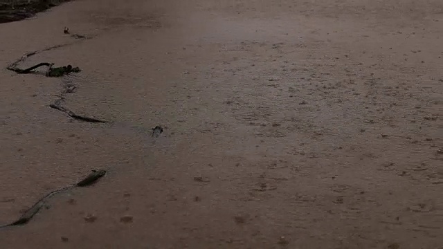 雨/洪水-水坑视频素材