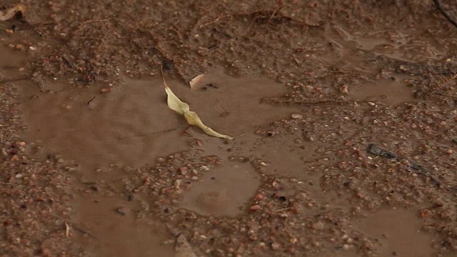 雨/洪水-水坑视频素材