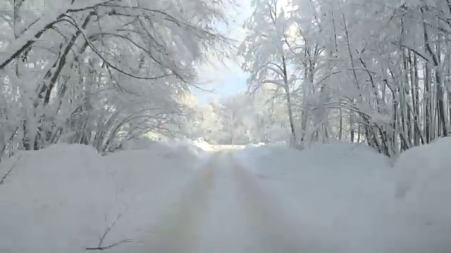 在下雪的乡村道路上驾驶POV。冬季雪山公路驾驶。森林视频素材