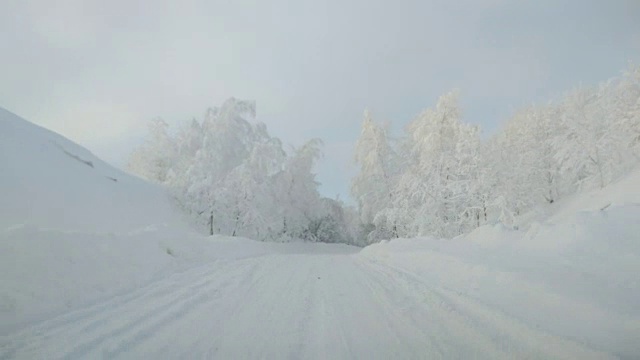 在下雪的乡村道路上驾驶POV。冬季雪山公路驾驶。森林视频素材