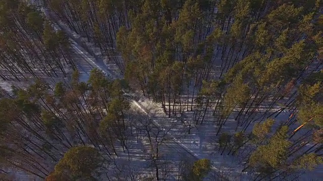 雪山松树林中的空中公路视频下载