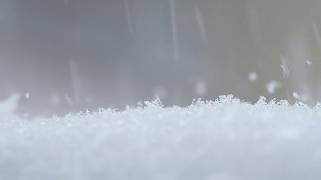 慢镜头:冬季降雪的微距镜头视频素材