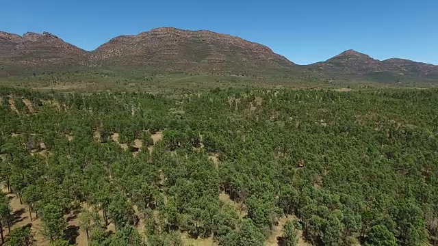 航空-南澳大利亚弗林德斯山脉Wilpena磅d_4k视频素材