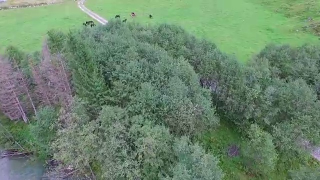 马，阿尔卑斯山，空中风景视频下载