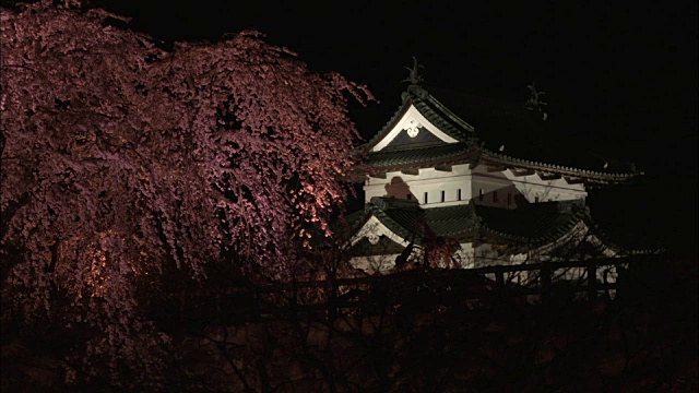 广崎公园，广崎樱花节的举办地视频素材