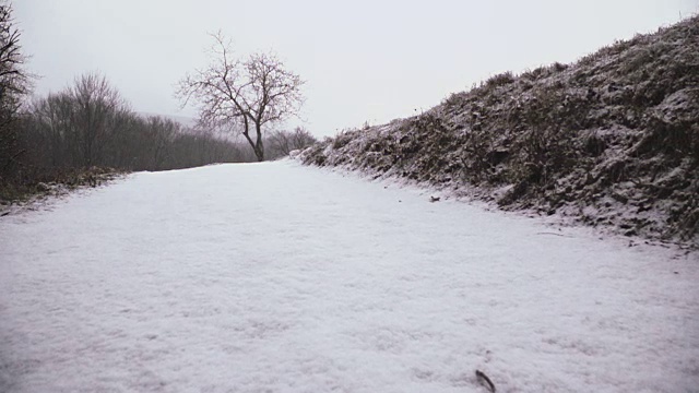 奥地利冬天的一场慢动作小雪视频素材