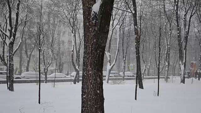 暴风雪来了。视频素材