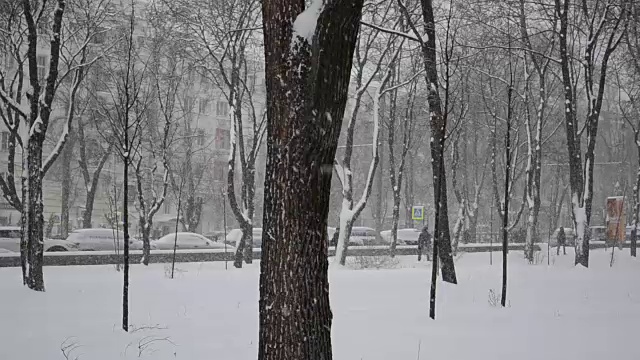 暴风雪来了。视频素材