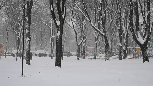 暴风雪来了。视频素材