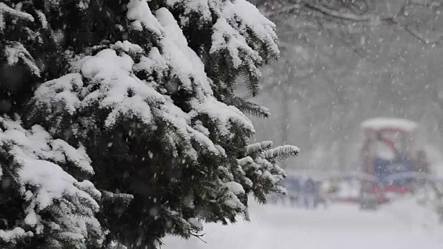 暴风雪来了。视频素材