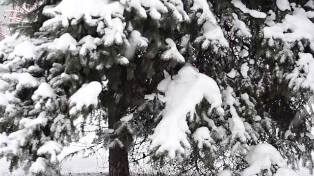 暴风雪来了。视频素材