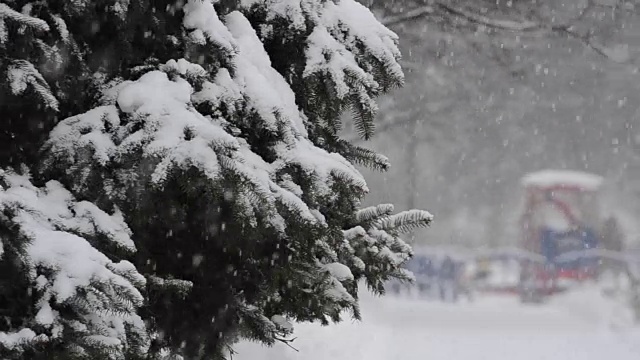 窗格子上的雪。视频素材