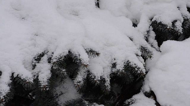 窗格子上的雪。视频素材