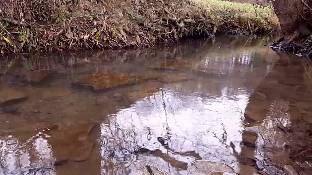 河流水系的水流视频下载