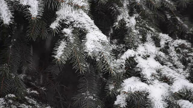 窗格子上的雪。视频素材