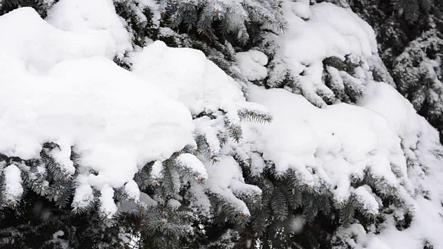 窗格子上的雪。视频素材