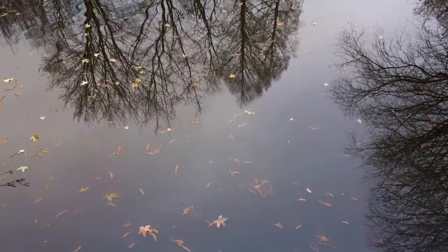 在湖水中激起涟漪视频素材