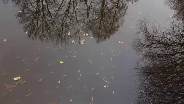 在湖水中激起涟漪视频素材