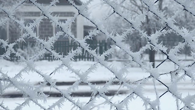 冬季磨砂网栅栏视频素材