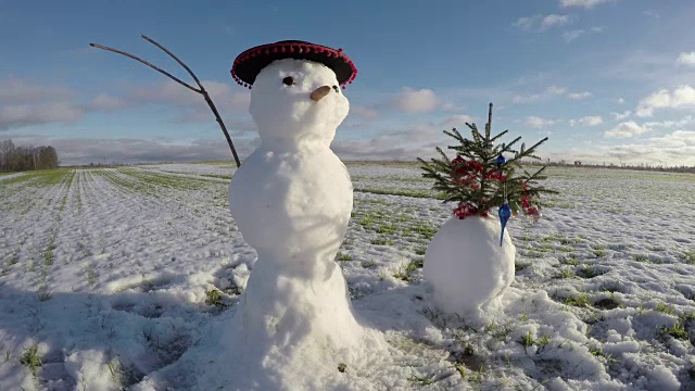 雪人和圣诞树在田野里，时间流逝视频素材