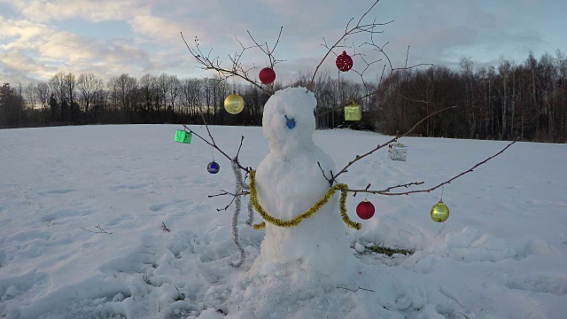 雪人在冬日的田野旁的森林里，时光流逝视频素材