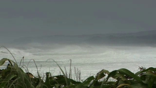 愤怒的海浪抵岸，鹿儿岛，日本视频素材