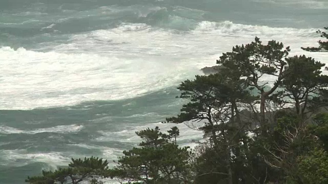 愤怒的海浪抵岸，南水，静冈，日本视频素材