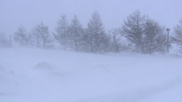 暴风雪,日本北海道视频素材