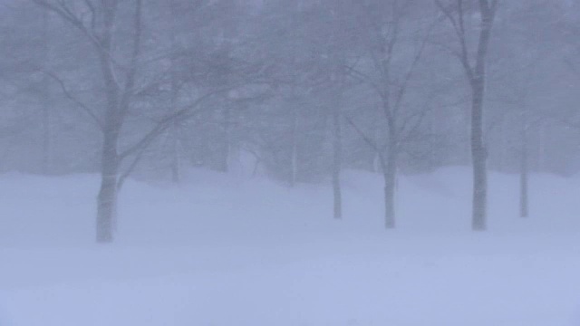 暴风雪,日本北海道视频素材