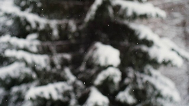 雪。下降的雪花。冬天的设计理念。视频素材