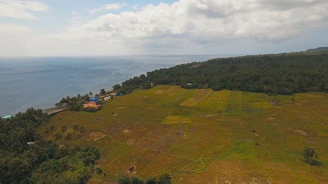 稻田鸟瞰图。菲律宾视频素材