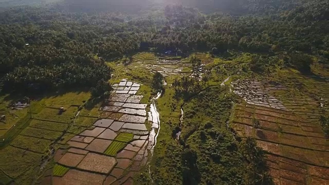 稻田鸟瞰图。菲律宾视频素材