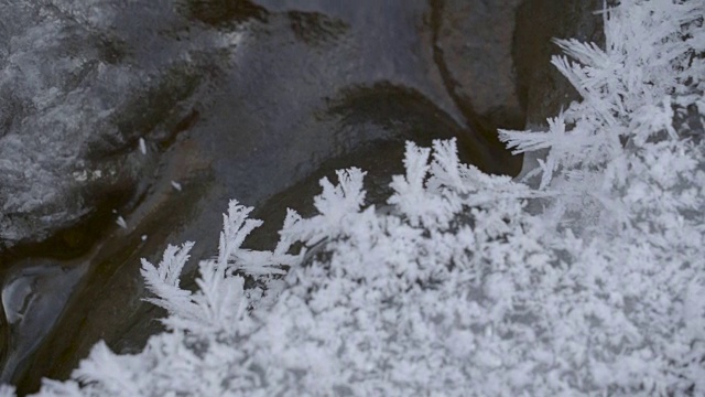 近距离观察岩石上的白色雪花视频素材