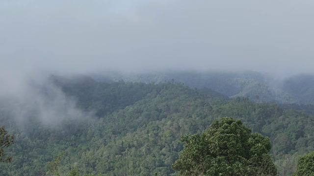 时间流逝-清晨的雾笼罩着山脉和森林视频素材