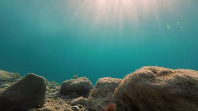 水下录像视频素材