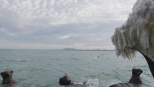 黑海冬季景观与海鸥飞行视频素材