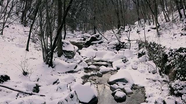 雪野景观和冬天的小溪视频素材