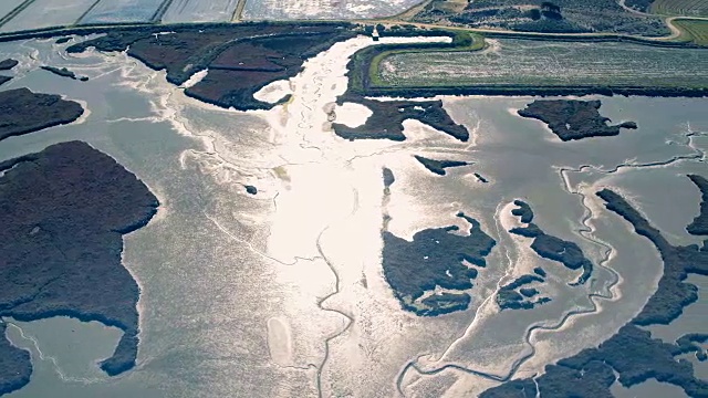 低潮时空中飞过沼泽海岸视频素材