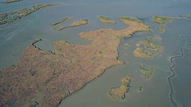 低潮时空中飞过沼泽海岸视频素材