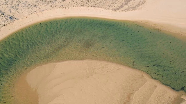 鸟瞰图与泻湖的海洋海滩视频素材