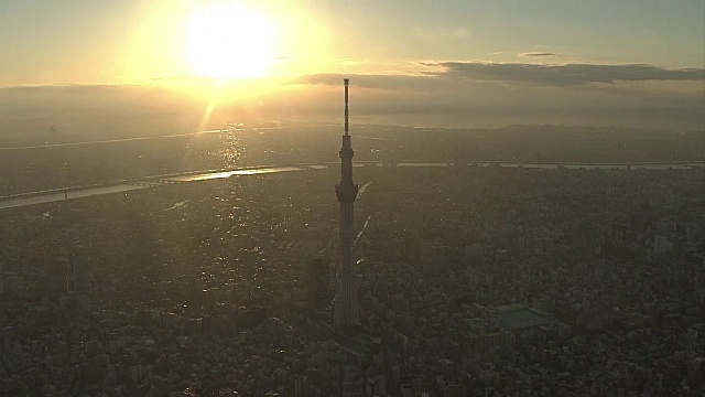 空中，晨光中的东京，日本视频素材