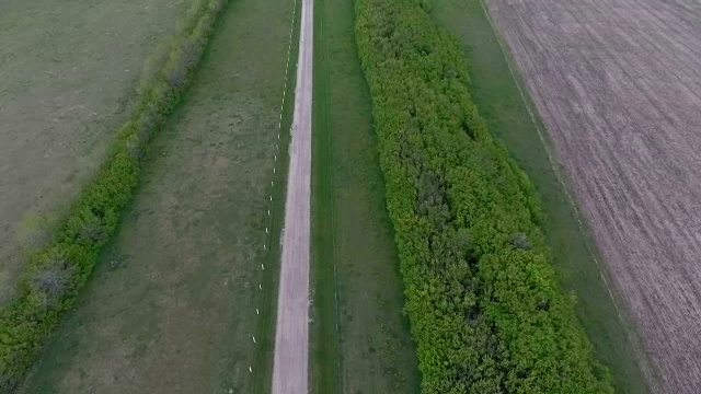 空中:长长的路和一排树通向大草原上的一个农舍视频下载