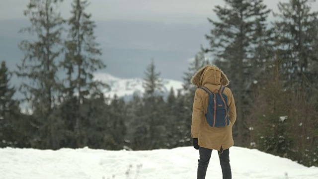 一个穿着棕色夹克、带着兜帽、背着背包的人穿过了冬天下雪的森林视频素材