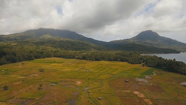 稻田鸟瞰图。菲律宾视频素材