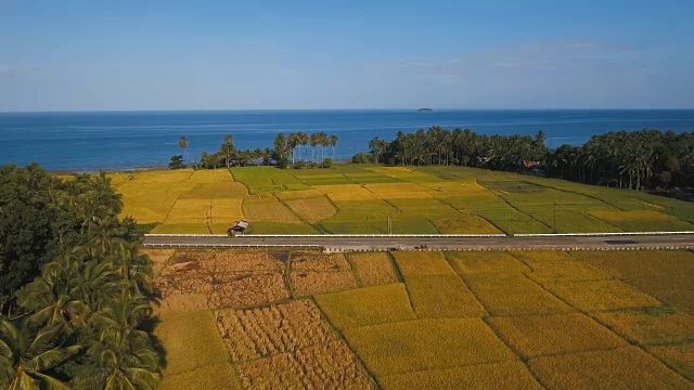 稻田鸟瞰图。菲律宾视频素材